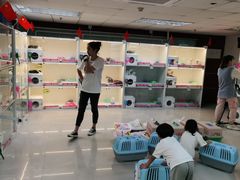 -lincat·猫舍(广州店)