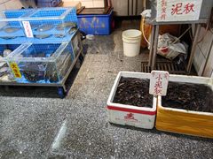 -珠光市场(文德南路)
