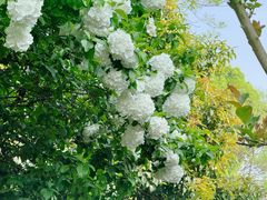 -三锐体育游泳中心