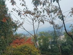 -杭州桐庐康莱德酒店西餐厅-舍