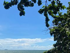 -卷心菜和避孕套餐厅(Pattaya)