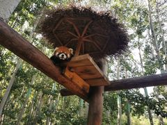 -北京野生动物园