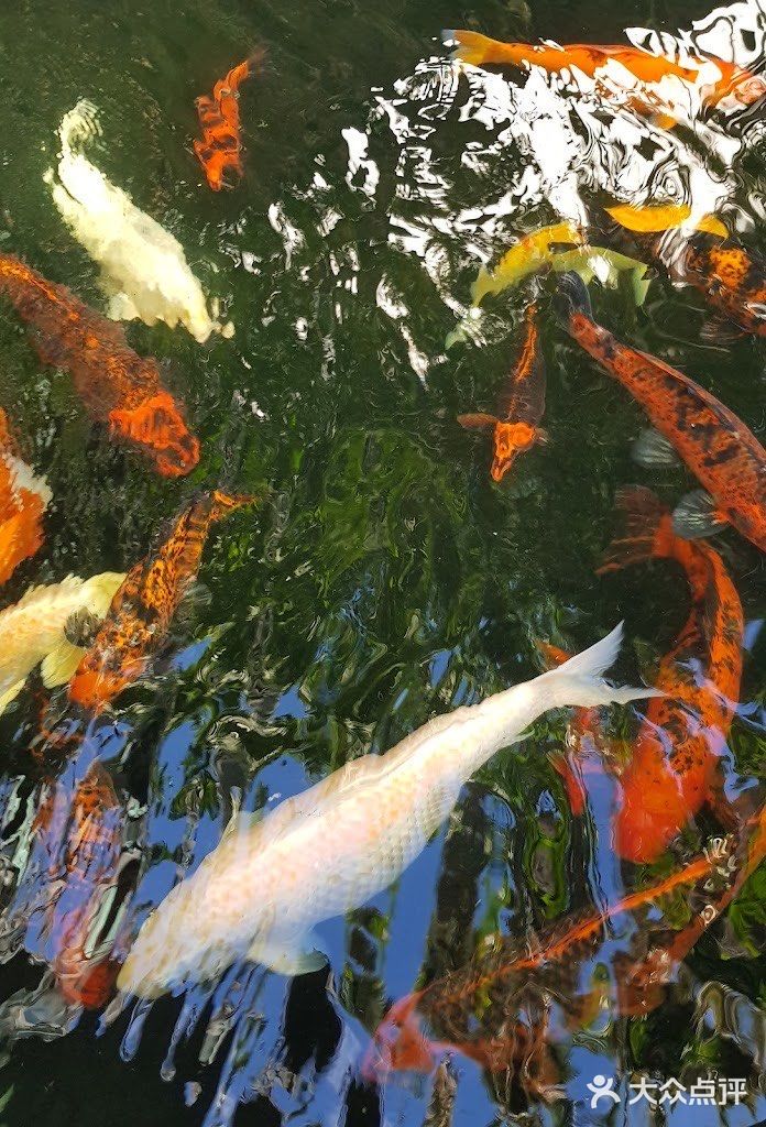 普吉｜让我最想念的咖啡餐厅……