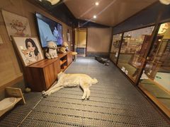 -大江户·温泉洗浴(浑南店)
