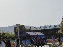 -苏州上方山国家森林公园