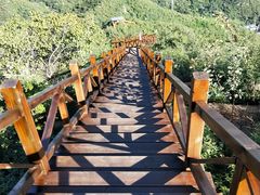 -大岭沟猕猴桃谷风景区