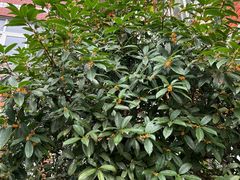 -信阳博物馆