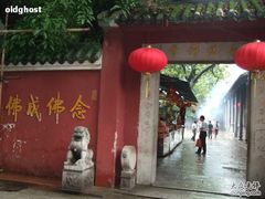 -华林禅寺