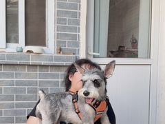 -长辛店二七公园