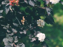 -长春公园(普阳街道)