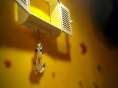 店内环境装饰-百好乐宠物友好餐厅(朝外大街店)