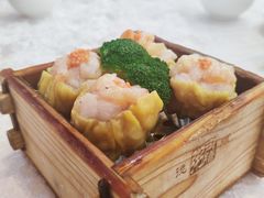鲜虾烧麦皇-御膳粥·牛乳粥底火锅·地道顺德菜(容桂店)
