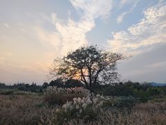 -良渚古城遗址公园