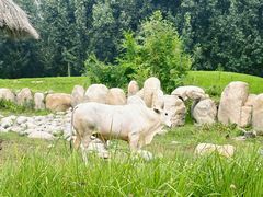 -北京野生动物园