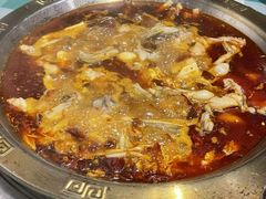 -重庆火锅水库鱼庄(南油店)