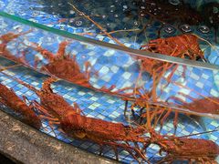 -旺豪海鲜餐厅(友谊阳光城店)