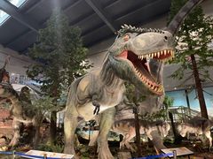 -湖南省地质博物馆