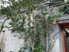 -北京鲁迅博物馆(北京新文化运动纪念馆鲁博馆区)