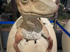 -湖南省地质博物馆