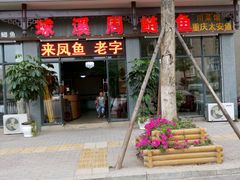 android_upload_pic-球溪周鲢鱼