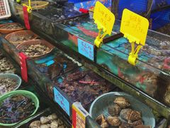 -鑫鸿达·海鲜闽菜热炒小馆(中山路店)