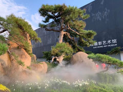 -罗红摄影艺术馆