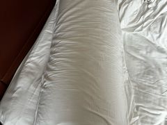 -广州白云机场雅高铂尔曼大酒店