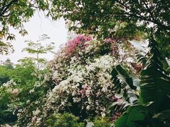 -深圳国际园林花卉博览园