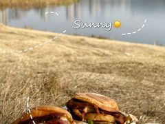 -shark burger·鲨鱼汉堡(交子大道店)