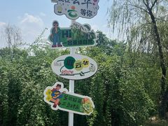 -空港花田景区