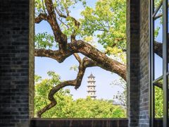 -江心屿景区