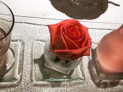 -王品牛排(珠海富华里店)
