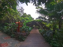-广西壮族自治区药用植物园
