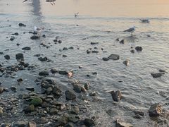 -大连圣亚海洋世界
