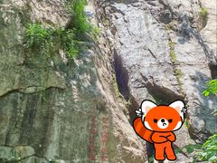 -王顺山国家森林公园