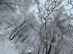 -终南山南五台景区