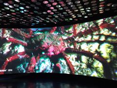-同济大学四平路校区深海探索馆