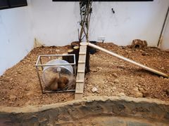 -宁波野生动物园