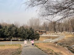 -西安浐灞国家湿地公园
