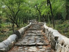 -阳台山自然风景区