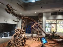 -自贡恐龙博物馆