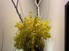 -鉴川·川菜传承(星汇两江店)
