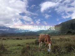 -石棉县孟获城