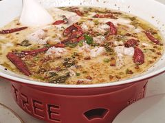 -大树餐厅(红旗街万达店)