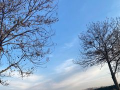 -汉长安城未央宫国家考古遗址公园