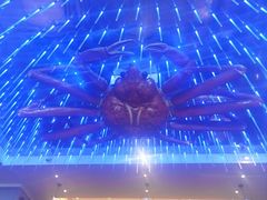 -蟹之国·精品蟹料理(极地店)