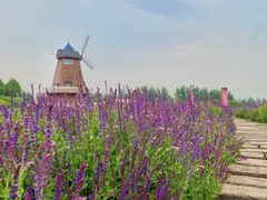 -君乐宝优致牧场