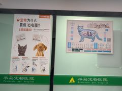 -半岛宠物医院24小时(科华中路店)