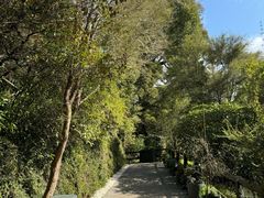 -怀托摩萤火虫洞