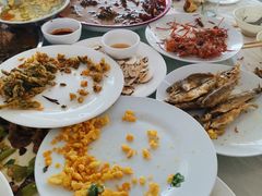 -庆岭迎宾园正宗活鱼馆